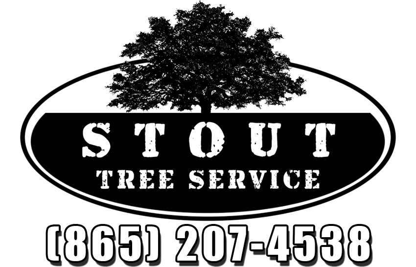 Stout Tree Service